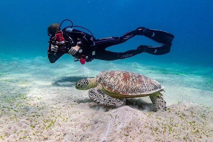 オールインクルシブラスモハメドホワイトアイランドシュノーケリングボートトリップシャーム
