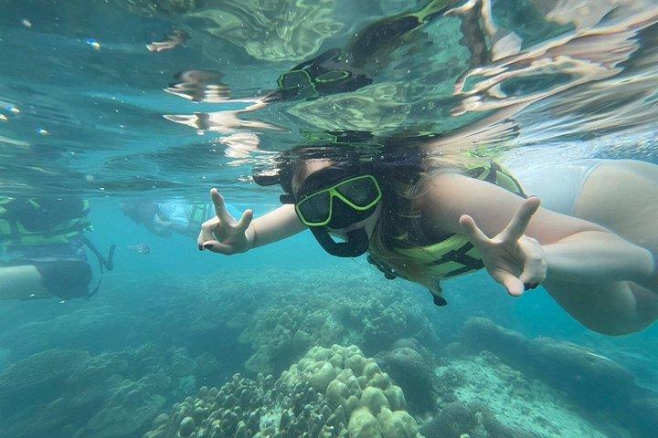Phi Phi Archipelago All-Inclusive Full-Day Tour from Phuket