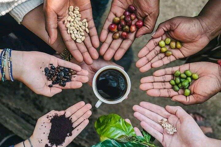 Dagstur till Massai by + Materuni vattenfall och kaffetur