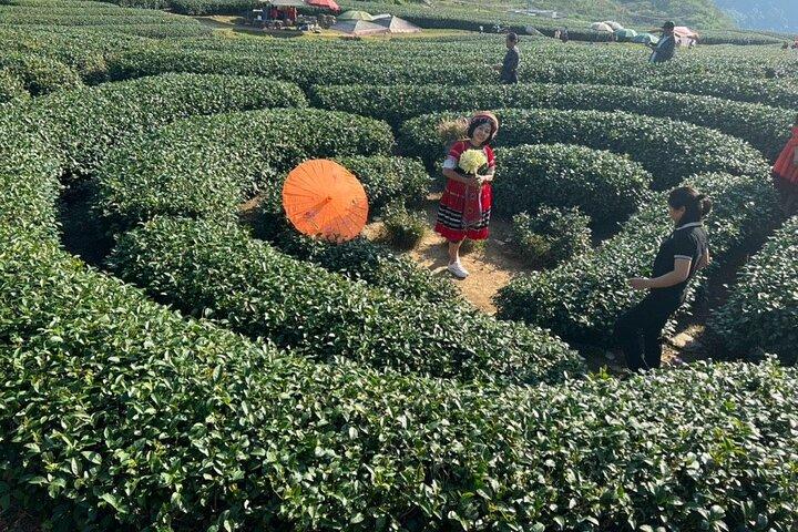 Tour di 4 giorni di Mai Chau-Moc Chau con ponte di vetro - Guinness World Records