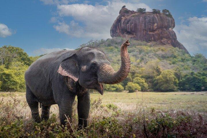 Excursión privada de un día a Sigiriya y el templo de la cueva de Dambulla con entrada y almuerzo
