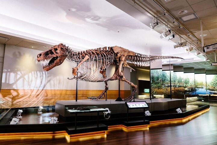 Field Museum Basic Admission Ticket with Tasting Experience