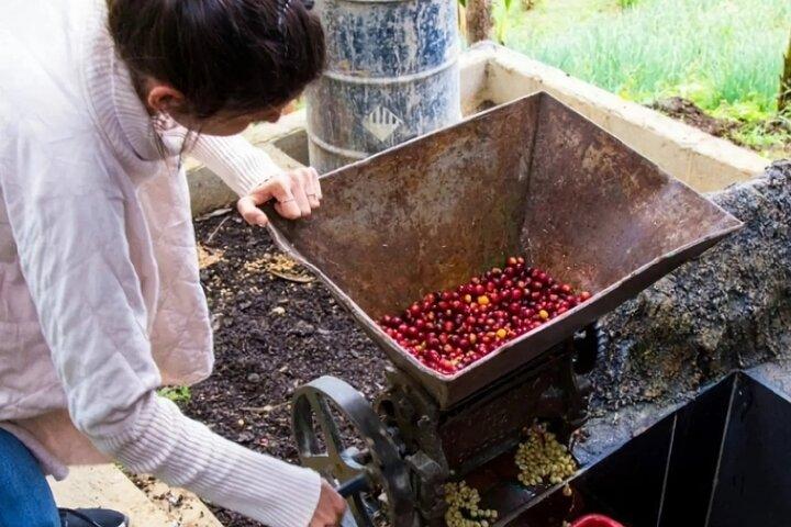 Visite du café et spa de Medellin