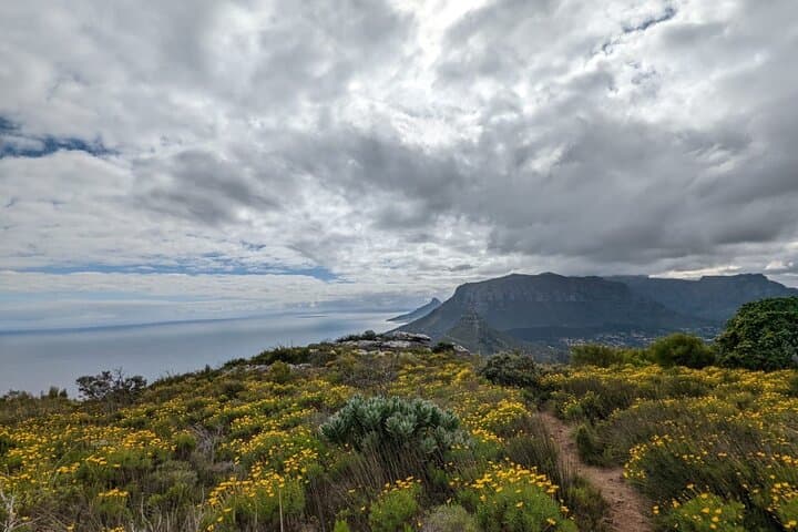Incredible Table Mountain Guided Day Hike or Trail Run