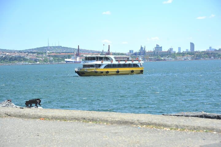 Istanbul: Bosphorus and Golden Horn Cruise with Audio Guide