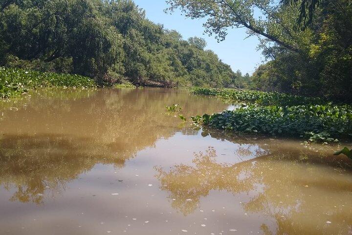 Safari nautico en tigre reserva de biosfera