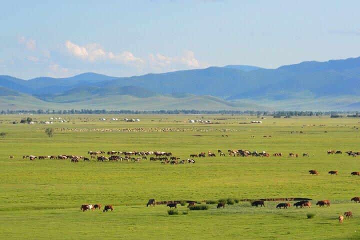Essenz der Mongolei 4 Tage