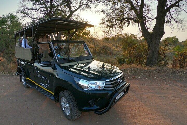 Excursão ao Safari do Pôr-do-sol à tarde no Parque Nacional Kruger
