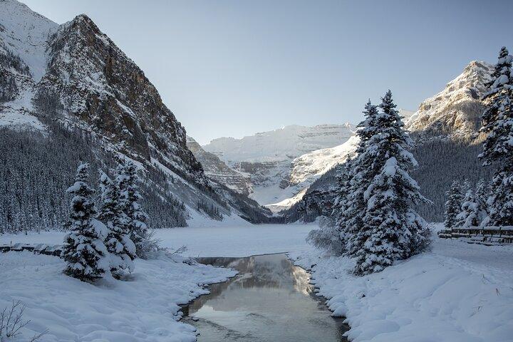 Banff, Lake Louise e Johnston Canyon - Tour invernale del paese delle meraviglie