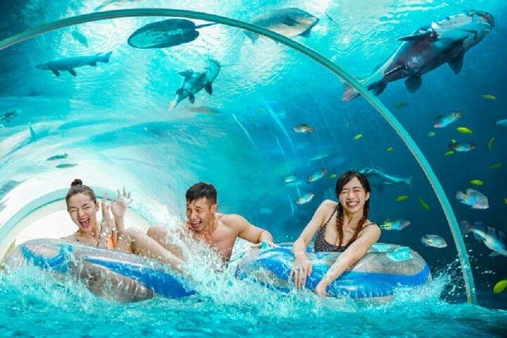 Hoteller i nærheden af Adventure Cove Waterpark