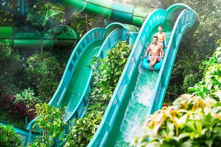 Singapura : Adventure Cove Waterpark Bilhete e transfer