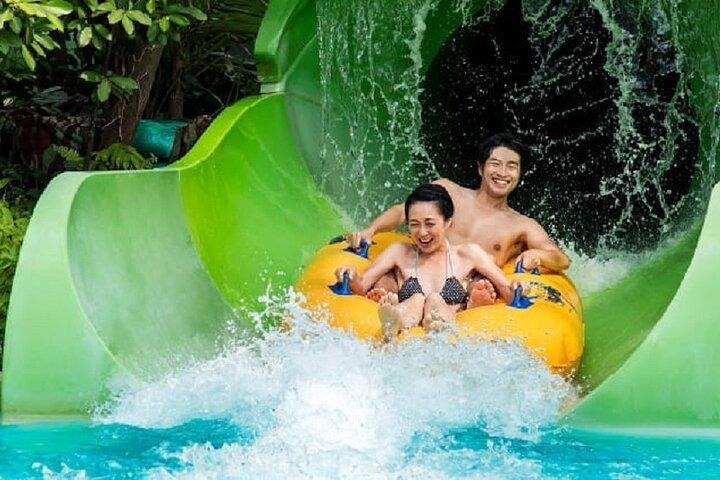 Singapura : Adventure Cove Waterpark Bilhete e transfer