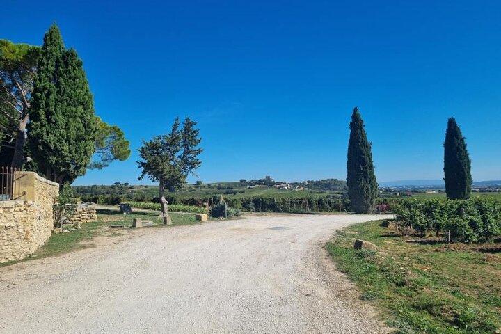 Tour del vino Chateauneuf du Pape pianificato su misura con autista privato