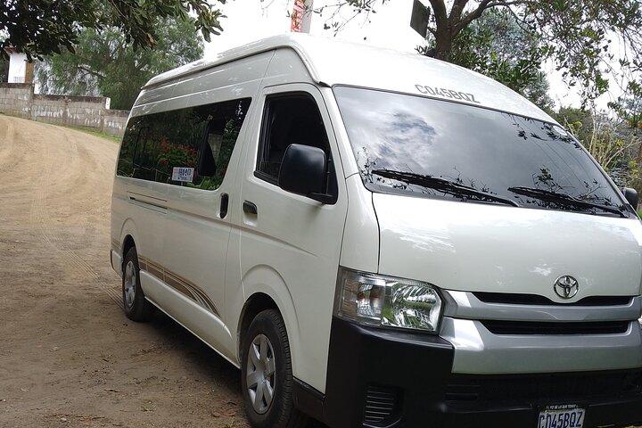 Coffee & Macadamia Fincas Tour