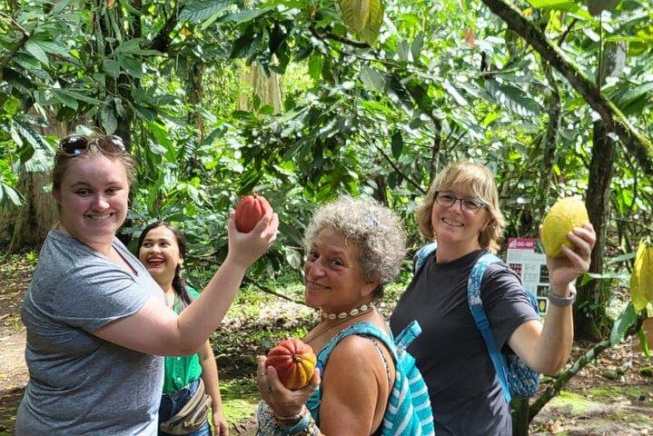 Eden Chocolate Tour con pranzo incluso