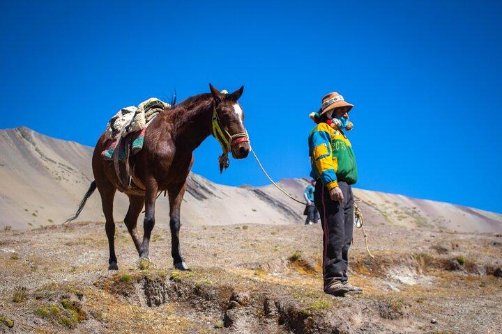 Excursion d'une journée complète à la montagne des couleurs de Cusco