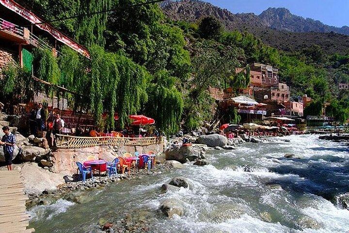 Ourika Valley & Atlas Mountains DayTrip From Marrakech ガイド付き