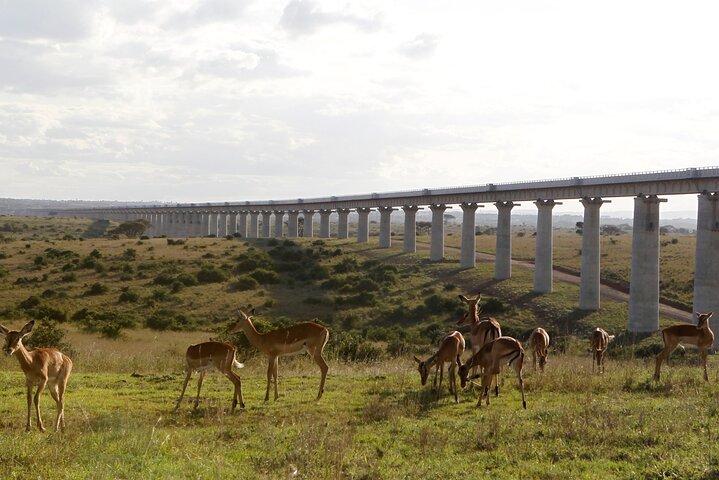 Visite partagée du groupe du parc national de Nairobi
