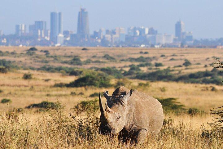 Visite partagée du groupe du parc national de Nairobi