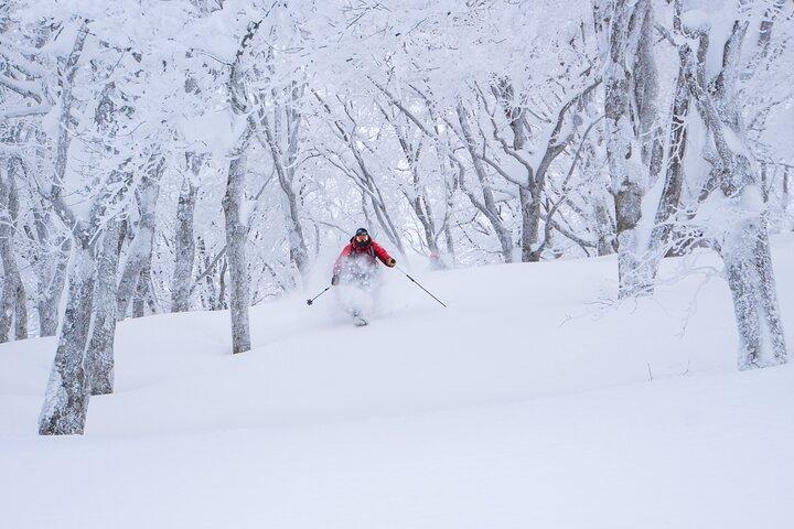 Ski- eller snowboardlektion i Shiga Kogen (4 timer)