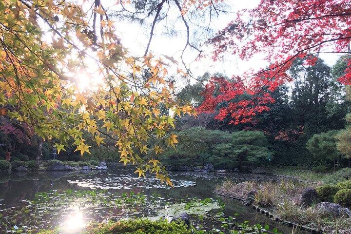 Kyoto E-Bike Tour: The Silver Pavilion & Philosopher's Path