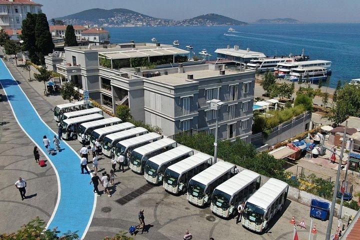Princes’ Islands Day Trip with Lunch and Transit from Istanbul