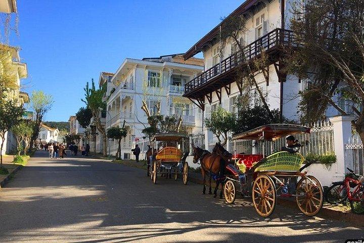 Princes’ Islands Day Trip with Lunch and Transit from Istanbul