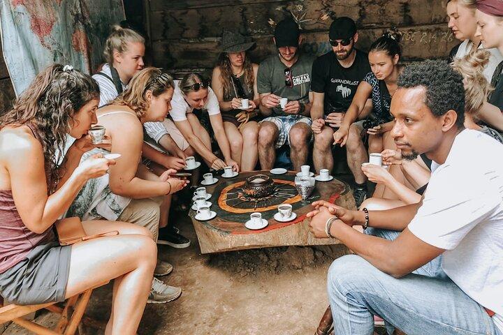 Half-Day Private Tour to Materuni Waterfalls and Coffee excursion
