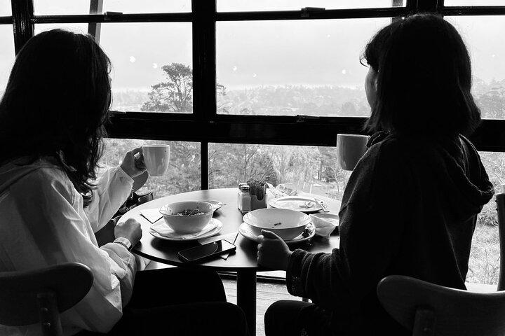 PJ Blue Mountains Supreme [MAX8+1]