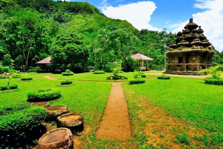 Templo de Selogriyo y Trekking Terrazas de arroz de Java, cascada escondida - Naturaleza Java