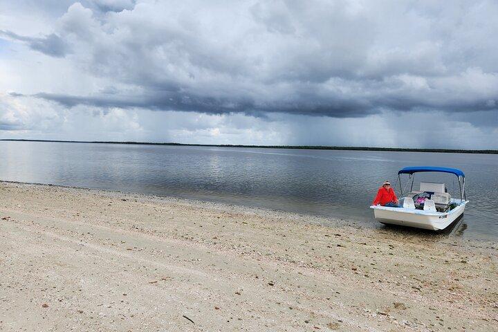 Tour en barco por las 10.000 islas + paseo guiado naturalista por los Everglades