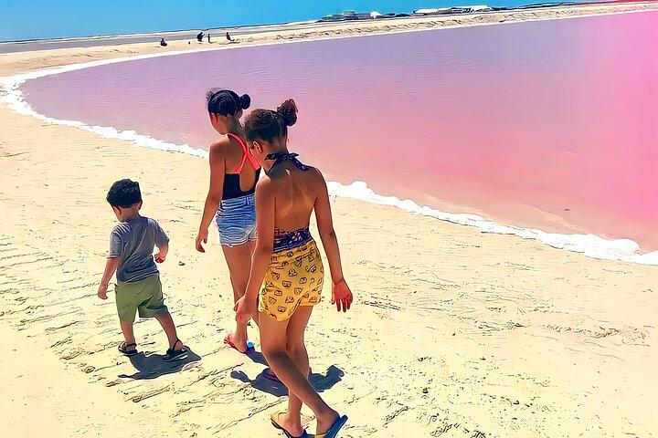 Pinktastic Lagoon Adventure Las Coloradas y Río Lagartos desde Cancún