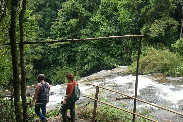 Chiang Mai Eco Trek La plus grande cascade Le pic de la Thaïlande 1 Jour