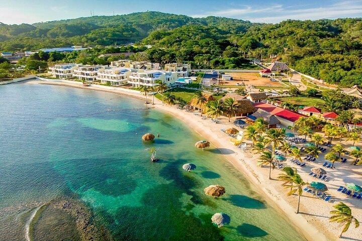 Las Palmas Beach und Roatan Island Brewing Company Private Tour mit Guide