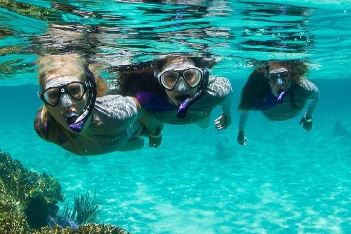 Experiencia guiada de snorkel en Bondi