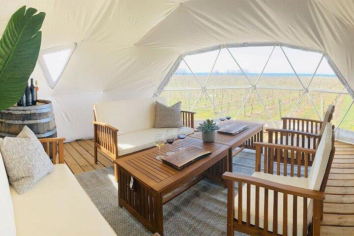 1 Stunde Private Vineyard Dome Experience in Niagara-on-the-Lake