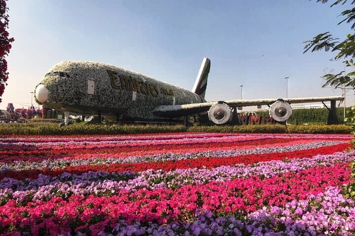 Dubai Miracle Garden Entry Ticket