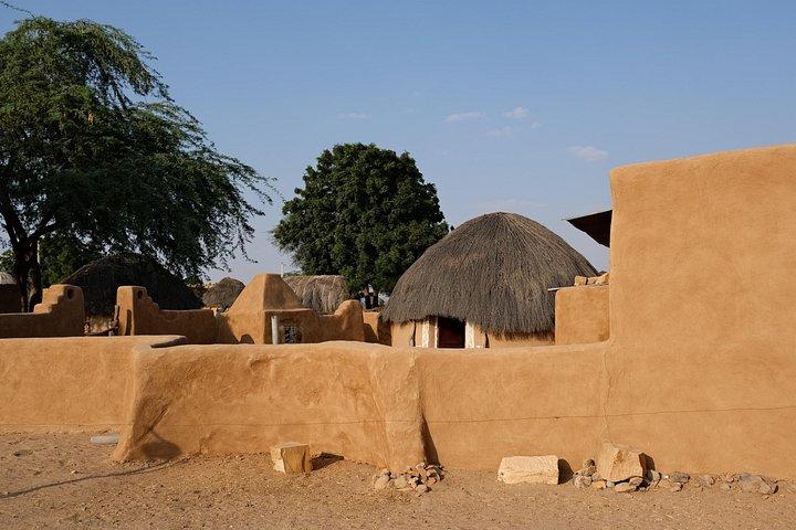Experience Authentic Desert Villages & Sunset Camel Safari