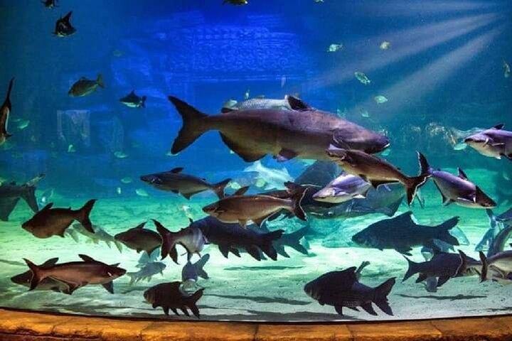 Angkor Wildlife & Aquarium Halvdagstur