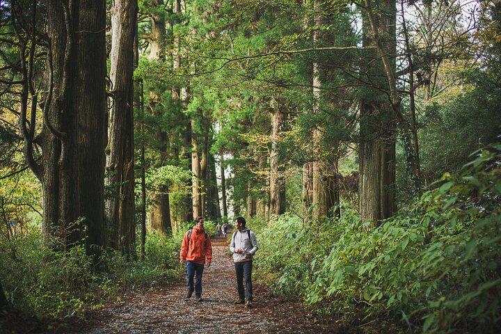 Anpassad privat rundtur i Hakone med en certifierad lokal guide