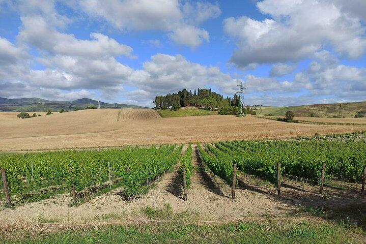 MEIO DIA: Chianti Classic Tour com Wine Experience e visita a San Gimignano
