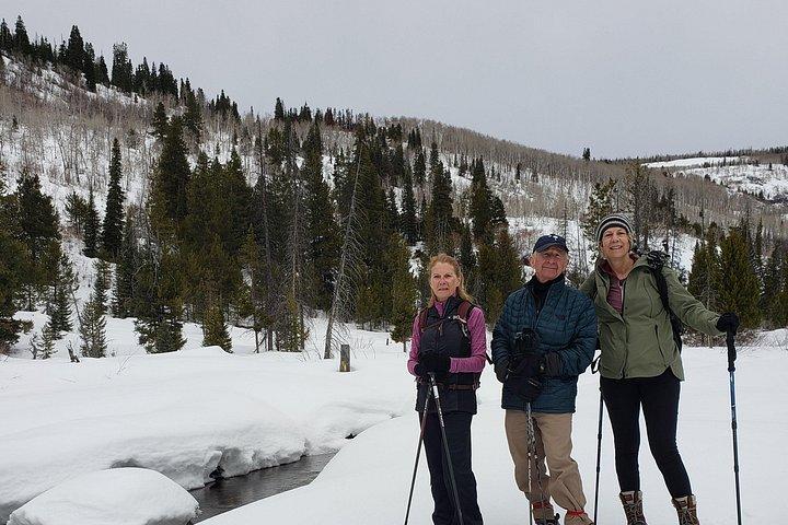 Guided Uinta Forest 3-Mile Hike w/fire + Lunch/charcuterie Stop