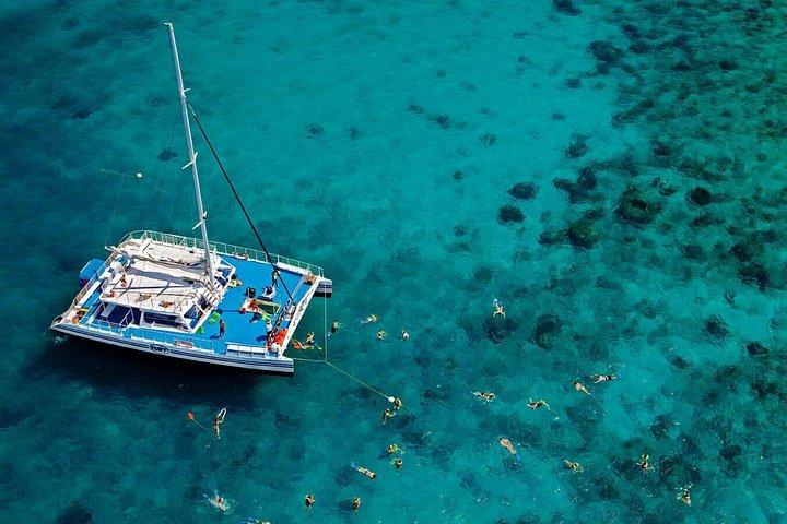 アクティビティ付きマイアミビーチからのキーウェスト日帰り旅行