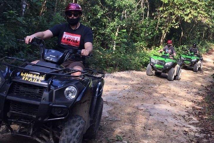 Private ATV Jungle & Cenote Adventure
