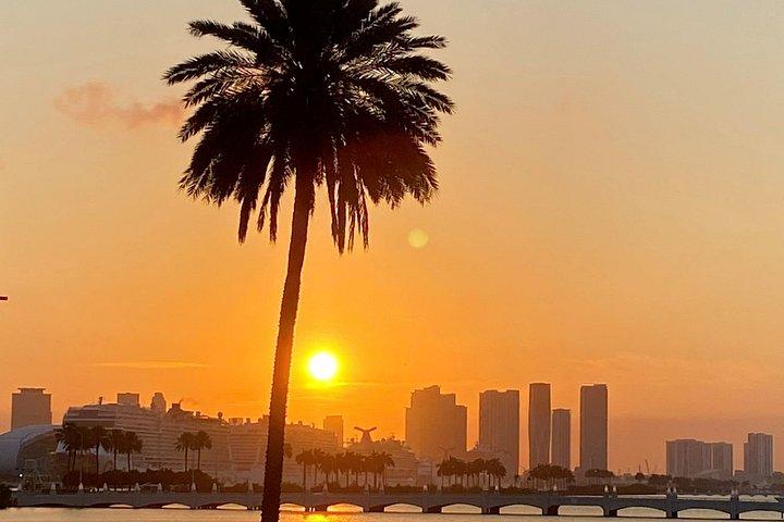 Sail The DREAM Boat From South Beach