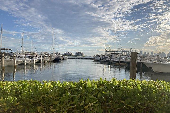 Sail The DREAM Boat From South Beach