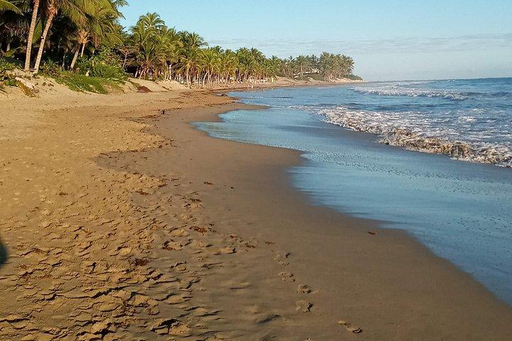 Surfing Experience in Cabarete Dominican Republic