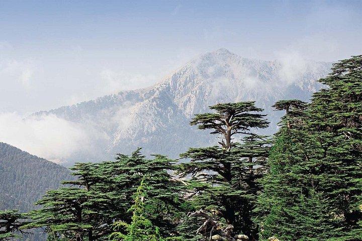 Beiteddine og Al-Chouf Cedar Reserve