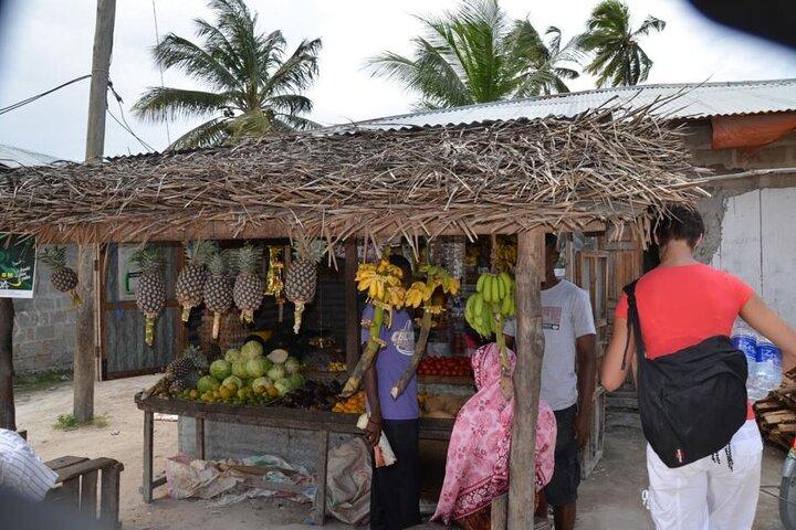 Ilha Mnemba, vila Nungwi e experiência com tartarugas marinhas