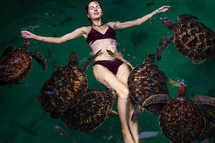 Ilha Mnemba, vila Nungwi e experiência com tartarugas marinhas